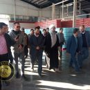 بزرگترین زنجیره تولید قارچ خوراکی در استان خراسان