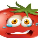 ماجرای قارچ و گوجه فرنگی