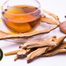 نکات مهم درباره چای گانودرما و چگونگی مصرف