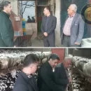بازدید از کارگاه تولید قارچ ماسال آئین نامه‌های ایمنی
