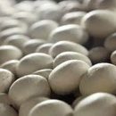 آشنایی با لکه های آفانوکلادیومی کلاهک قارچ + روش جلوگیری