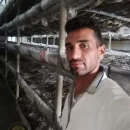 میثم نجفی و پشت سکه پرورش قارچ عکس مربوط به میثم نجفی و پشت سکه پرورش قارچ در ایران