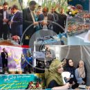 اولین جشنواره آشپزی با قارچ در ملارد