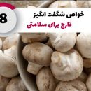جوابیه انجمن صنفی پرورش دهندگان قارچ خوراکی در اعتراض به خبرگزاری تسنیم
