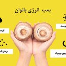 بمب انرژی زنان محصولی مغذی اما کم کالری