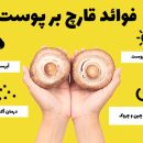تاثیر مصرف قارچ بر پوست بسیار است