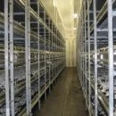 سالن پرورش قارچ هیتر سالن پرورش قارچ