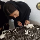 کارگاه تولید قارچ در مدرسه