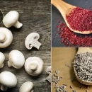 ماندگاری بیشتر قارچ با کمک گیاهان دارویی