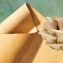 محصولات چرمی تولید شده از قارچ