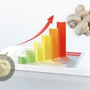 نمودار و میانگین قیمت قارچ سال 1401