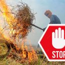 آتش زدن کاه و کلش