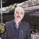 افتتاح واحد پرورش قارچ