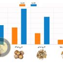 بازار قارچ خشک