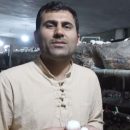 پرورش قارچ در لالی