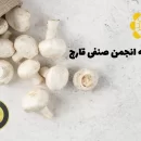 اطلاعیه های انجمن صنفی قارچ 1403