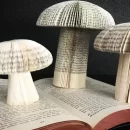 برای جلوگیری از قطع درختان برای تهیه کاغذ چه کنیم؟ تولید کاغذ از قارچ برای جلوگیری از قطع درختان