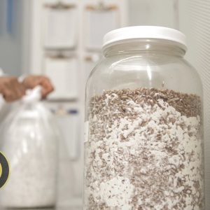 بذر یا اسپان قارچ چیست