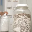 بذر قارچ یا اسپان قارچ چیست