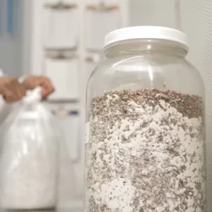 بذر قارچ یا اسپان قارچ چیست