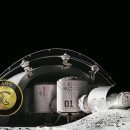 قارچ در زیستگاه حبابی مریخ