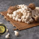 آموزش «کاشت قارچ کم هزینه به عنوان منبع جایگزین معیشت روستایی» 