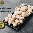 تسهیلات صندوق کارآفرینی امید برای تولید قارچ