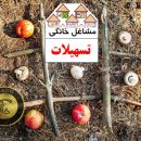 تسهیلات برای پرورش قارچ و سایر مشاغل خانگی در بهشهر