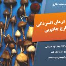 رویای درمان افسردگی با قارچ‌ روان گردان