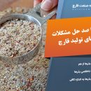 صفر تا صد حل مشکلات بذرهای تولید قارچ