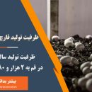 ظرفیت تولید قارچ