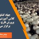 برگزاری کلاس آموزشی مهارتی پرورش قارچ خوراکی