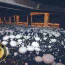 کارگاه آشنایی با پرورش قارچ در نیشابور
