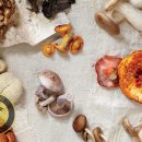 افزایش سه برابری تقاضای جهانی برای خرید قارچهای اگزوتیک