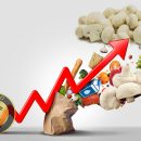 افزایش قیمت قارچ خوراکی