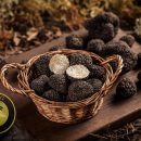 خواص قارچ دنبلان یا ترافل انکار ناپذیر است مطالعات بسیار این مهم را تایید میکند