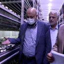 بازدید اعضای کمیسیون آموزش از کارخانه قارچ سروآباد