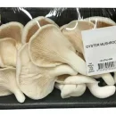 بسته بندی قارچ صدفی