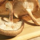 نگهداری قارچ به روش انجماد
