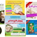 گواهی های بی اعتبار صادر شده توسط برخی موسسات آموزشی بی کیفیت