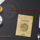 کتاب قارچ شاه صدف مؤلفان ناصر محمدی، ابراهیم محمدی گل تپه