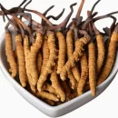 قارچ کرم ابریشم یا قارچ کاترپیلار Ophiocordyceps sinensis