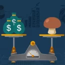 ثبات قیمت قارچ