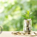 پرداخت تسهیلات ارزان قیمت به بخش کشاورزی