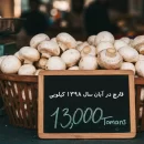 عکس مربوط به مقاله خبری قیمت هر کیلو قارچ در آبان 1398 است.