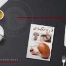 کتاب قارچ تکمه ای