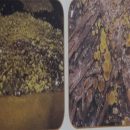 آشنایی کامل با کپک دارچینی یا Cinnamon mould