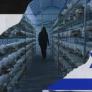 جنگ اسرائیل و حماس سبب تعطیلی مزرعه قارچ شد
