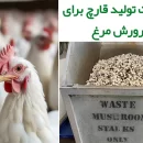 استفاده از ضایعات تولید قارچ برای پرورش مرغ گوشتی