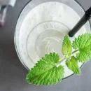 قارچ کفیر چیست؟ + آشنایی کامل با خواص